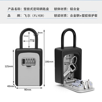 飞尔（FLYER）密码钥匙盒 多功能装修防盗钥匙收纳盒 壁挂悬挂式密码钥匙储存盒【灰色】