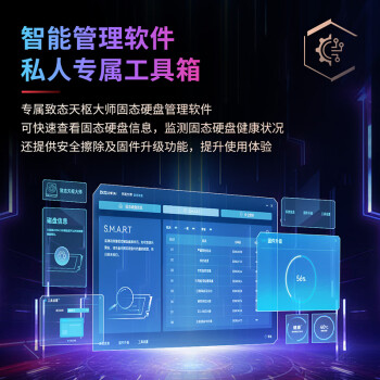 致态（ZhiTai）长江存储 512GB SSD固态硬盘 NVMe M.2接口 TiPlus7100系列 《黑神话:悟空》官方合作品牌