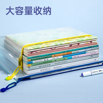 齐心（COMIX）10只A4文件袋科目分类拉链网格拉链袋塑料高考文具袋收纳专用袋试卷袋补习袋考试袋 EA1054