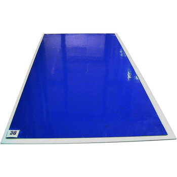 成楷科技CKG-ED60 一次性可撕式粘尘垫净化无尘车间 60*90cm地垫 30页/本*10本