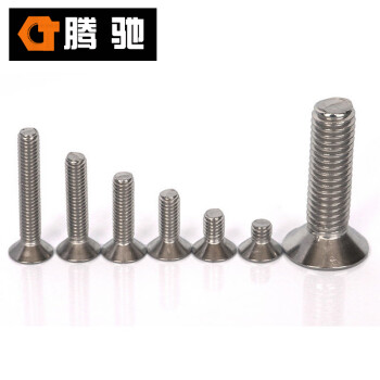 腾驰 CT 304 十字沉头螺钉 GB819 不锈钢十字沉头螺丝 M1.6-0.35*3（300支/盒）