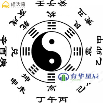 太极两仪四象八卦图学起名玄学创意背景墙装饰墙贴壁纸贴画纸 黑色 中