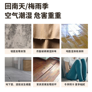 霍尼韦尔（Honeywell）除湿机/抽湿器 除湿量12升/天 家用轻音除潮除湿器 梅雨季神器 除潮室内抽湿机吸湿器 手机智控