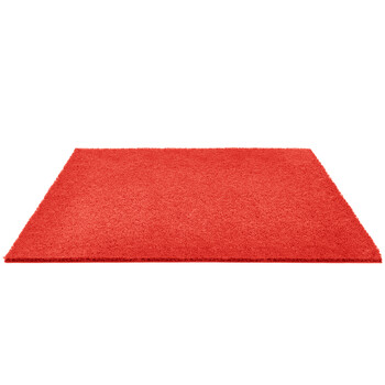 兰诗（LAUTEE）LS-1101 酒店宾馆防滑蹭土商用拉丝地垫 门垫入户垫 红色0.9米宽*1.2米长