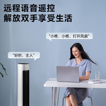 格力（GREE）【强力制冷】家用智能语音冷风空调扇制冷风扇遥控负离子净化加湿降温水冷风机 KS-04X80Dg