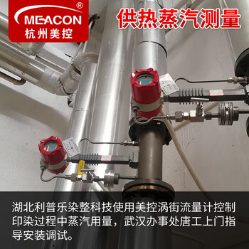 美控涡街流量计液体气体蒸汽流量计压缩空气流量计 脉冲输出【法兰夹持安装无显示】 DN200 