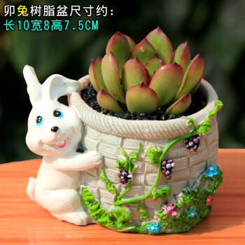十二生肖手绘树脂花盆创意卡通动物多肉花盆家用圆形方形小花盆 兔