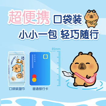 清风【李昀锐同款】纯水超迷你湿巾8片*8包 手口可用  便携装 湿纸巾 