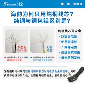 海韵（SEASONIC）650W FOCUS金牌全模电源