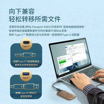 西部数据(WD)1TB NVMe 移动固态硬盘（PSSD）My Passport随行SSD type-c接口 1050MB/s 手机直连笔记本两用