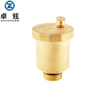 卓炫（ZHUOXUAN）TY-09 黄铜排气阀 直排式自动放气阀 黄铜排气阀门 DN8(5个)