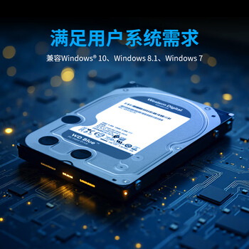 西部数据（WD）台式机硬盘 WD Blue 西数蓝盘 4TB 5400转 256MB SATA 3.5英寸CMR垂直技术DIY电脑存储机械硬盘