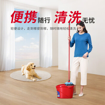 微力达（Vileda）德国高效能拖把拧干桶 家用老式手压拧干器 挤水桶
