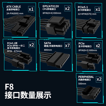 长城（Great Wall）额定850W F8白金牌全模组电源（ATX3.1标准/原生PCIe5.1接口/自动启停/全电压/闪电加速）