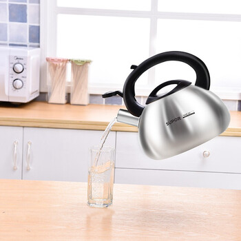 苏泊尔（SUPOR） 烧水壶2.5LSS25N1