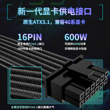 长城（Great Wall）额定850W F8白金牌全模组电源（ATX3.1标准/原生PCIe5.1接口/自动启停/全电压/闪电加速）