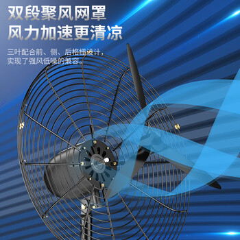 钻石牌工业风扇大风力电风扇牛角扇大功率工业大风扇工厂车间商用立式落地扇吹除甲醛FS-75