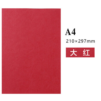 飞尔（FLYER）凹凸皮纹纸 压纹纸 云彩纸 封皮纸 彩色卡纸【230克 A4 大红100张】	