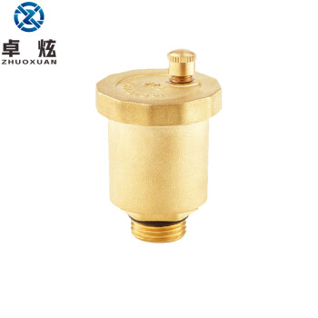 卓炫（ZHUOXUAN）TY-09 黄铜排气阀 直排式自动放气阀 黄铜排气阀门 DN8(5个)