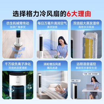 格力（GREE）【强力制冷】家用智能语音冷风空调扇制冷风扇遥控负离子净化加湿降温水冷风机 KS-04X80Dg