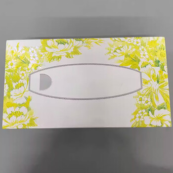 BLUEGUAN 蓝冠 定制logo抽取式纸巾箱装（四层*100抽*20盒）含压花