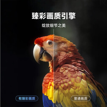 当贝电视盒子H5 智能网络电视机顶盒 8K解码 安卓12系统 2G+32G HDR10+优化 双频WiFi AI智慧语音