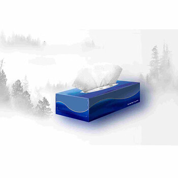 BLUEGUAN 蓝冠 定制logo抽取式纸巾箱装（四层*100抽*20盒）含压花