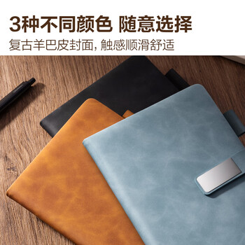 得力（deli）笔记本子A5/80张羊巴皮记事本商务办公皮面本加厚工作笔记本复古皮面本蓝BP153