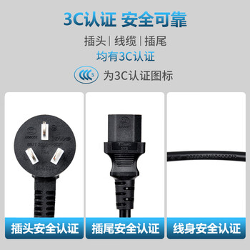 同为（TOWE）国标16A转C13一分二主机机房服务器2.5平方电源线 TW-F-25G16/2C13 3M
