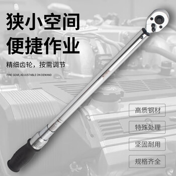 罗宾汉（RUBICON）工业用棘轮扭力扳手R63-2D 力矩扳手可调节双向扳手3/8”预置扭力扳手可调扭矩20-100Nm 