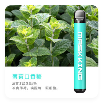 雾化烟仿真烟小烟水果味薄荷能量棒男女戒烟替烟清肺 薄荷口香糖(单支