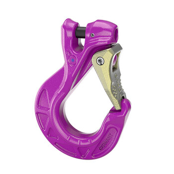 路德（RUD）星型吊钩ISH-10载荷5t 德国进口起重吊钩带防脱装置