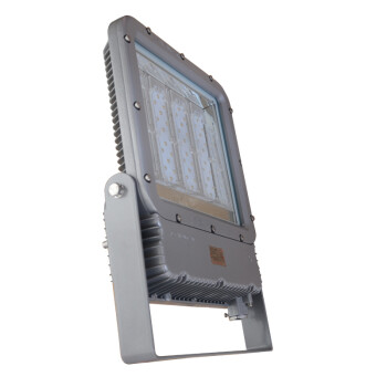 华荣 RLEEXL5330-XL200 200W、IIB、220V、5500K左右、LED 防爆投光灯 1.00 盏/套 (计价单位：套) 灰色
