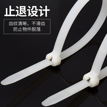 飞尔（FLYER）船用扎带 金属嵌片钢牙扎带 钢扣塑料扎带【白色 10×400mm 100根/包】