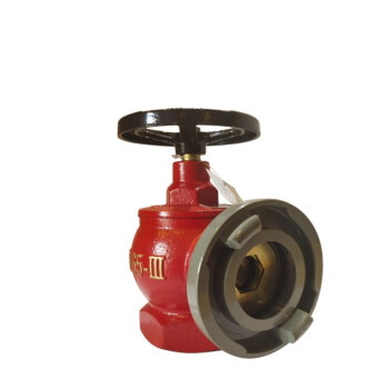 双龙消防 室内消火栓SNW65-III减压稳压型消火栓SNW65-3减压稳压栓消防龙头（定制商品）