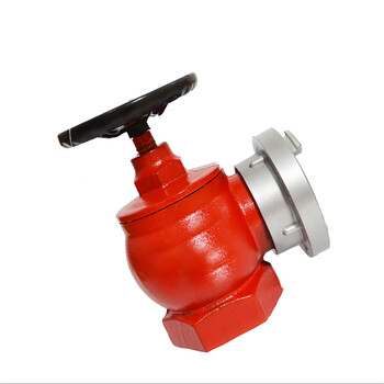 鸿安 SN50型室内消防栓 消火栓50 消防阀门 消防水龙头（个）
