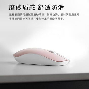 雷柏（Rapoo） X260S 键鼠套装 无线键鼠套装 办公键盘鼠标套装 电脑键盘 笔记本键盘 粉色