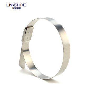 凌科朔（LINKSHIRE）不锈钢滚珠自锁式扎带7.9*1500mm 304材质100条 电力电缆标识牌船用标牌金属钢扎带