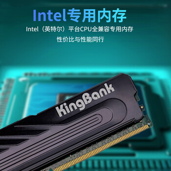 金百达（KINGBANK）16GB DDR4 3200 台式机内存条  intel专用条 黑爵