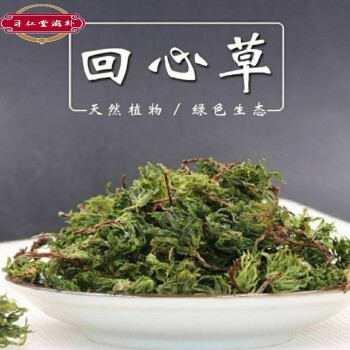 有仁堂回心草云南野选新鲜干货回心草铁脚一把伞泡水喝100g