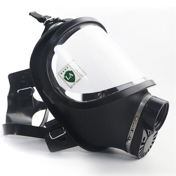 唐人 防尘面具3件套（TF10D型全面具+0.5m导气管+ P-CO-3 5号滤罐）1套