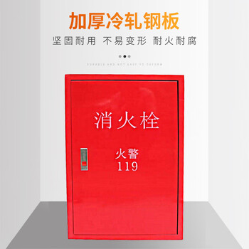 鲁强消防 LUQIANGFIRE 消防器材 消火栓箱铁皮款款 800*650*220 一个价