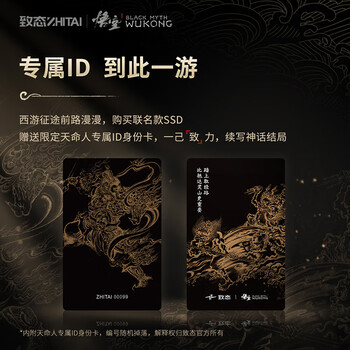 致态（ZhiTai）长江存储 1TB SSD固态硬盘 NVMe M.2接口 TiPlus7100《黑神话：悟空》联名版