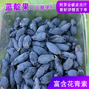 东北伊春野生蓝靛果山茄子新鲜蓝莓羊奶子果黑瞎子果2斤装套餐二