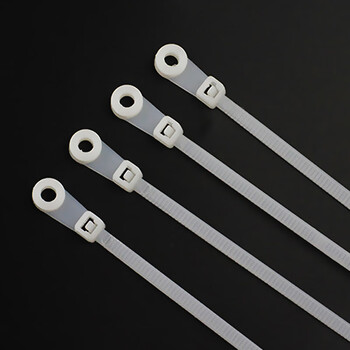 飞尔（FLYER）尼龙固定头扎带 螺丝圆孔固定头式束线带【5×220mm 100条】