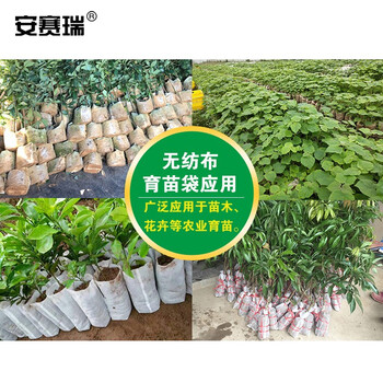 安赛瑞 无纺布育苗袋 植物种植袋营养钵一次性育苗花盆 装土前10x12cm 1000个 530416