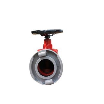 鸿安 SN50型室内消防栓 消火栓50 消防阀门 消防水龙头（个）