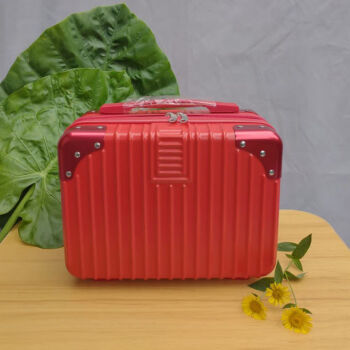 手提箱化妆箱女小行李箱收纳包便携小旅行箱可套拉杆红色金属包角14寸