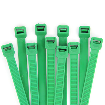 飞尔（FLYER）绿色尼龙扎带 主机装机 园艺线缆 桌面理线束线捆扎绑带【非标 200×2.8mm 500条】