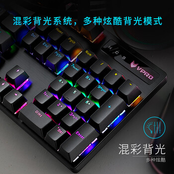 雷柏（Rapoo） V500PRO 有线背光机械键盘 104键全尺寸游戏电竞笔记本电脑多媒体办公吃鸡全键无冲键盘 黑轴